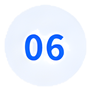 06